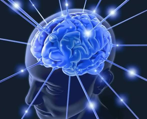 Glowing blue Life Force brain